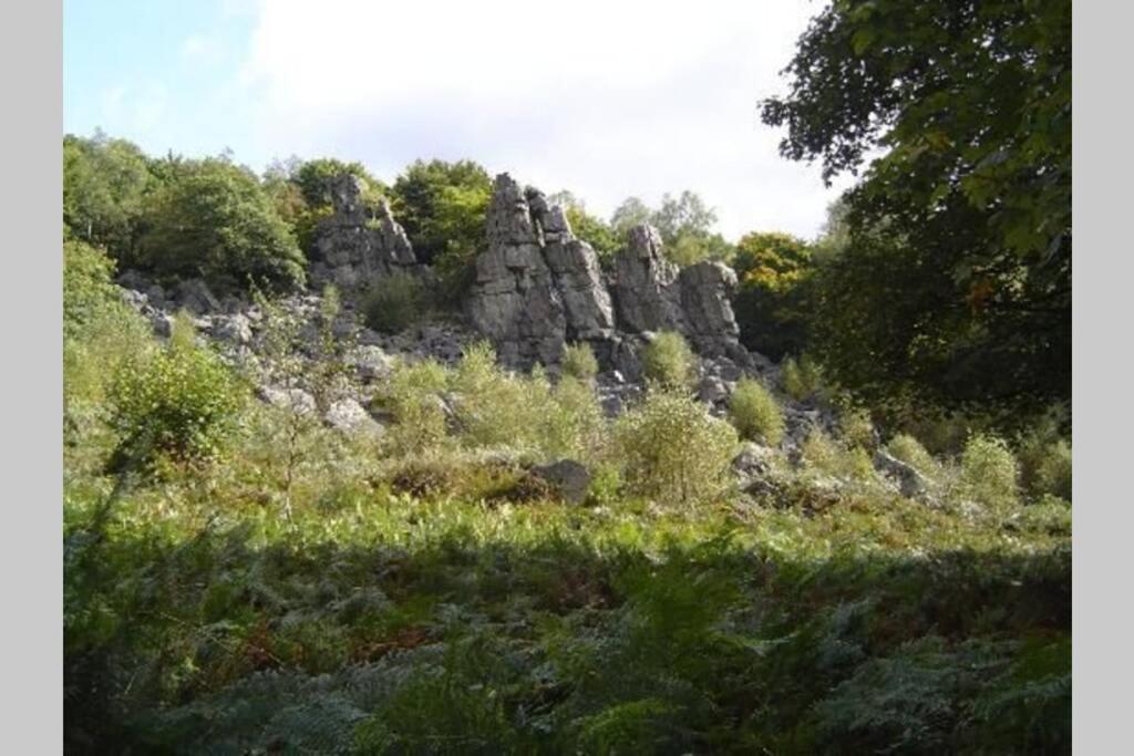 L'Echappee Verte Ambiance Nature Et Foret Deville  Zewnętrze zdjęcie